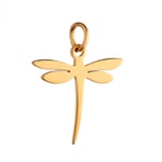 Gold color / 1 Piece Simple Series Bamboo Dragonfly Shape Stainless Steel  Gold Color Women's Pendants Picture10